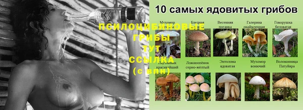 мескалин Богородск