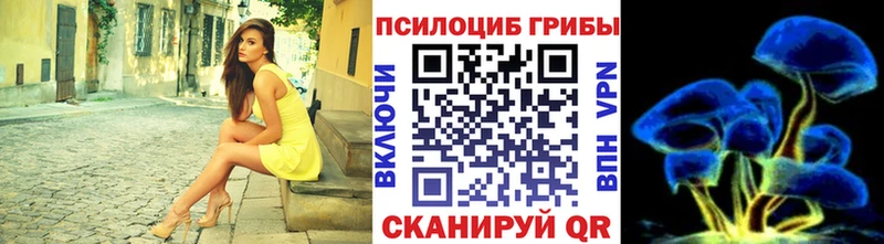 Псилоцибиновые грибы мухоморы  Дальнегорск 
