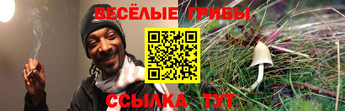 Дальнегорск  Галлюциногенные грибы мицелий  купить наркотики сайты  Вход с VPN 