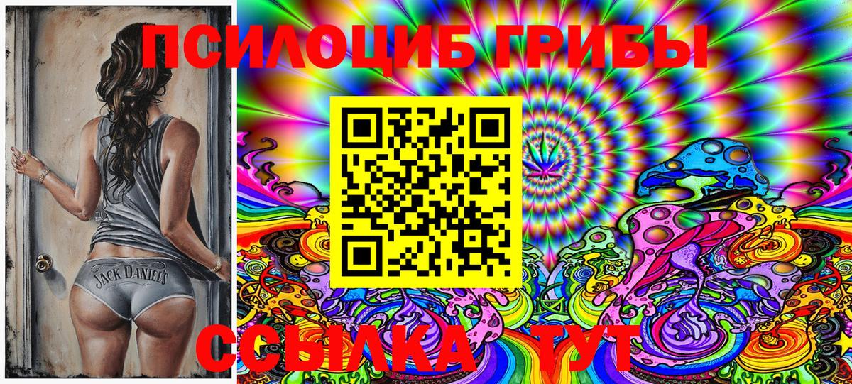 Галлюциногенные грибы Psilocybe Дальнегорск